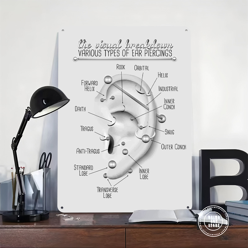Ear Piercing Chart Metal Poste - Desk Setup Poster recensie en prijs
