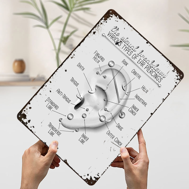 Ear Piercing Chart Metal Poste - Desk Setup Poster recensie en prijs