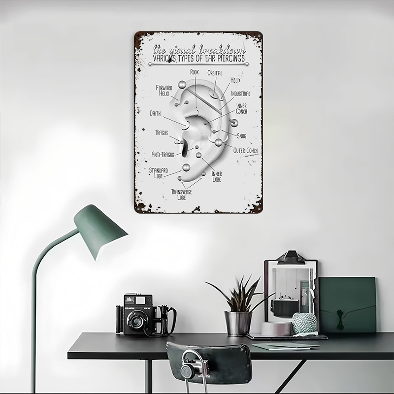 Ear Piercing Chart Metal Poste - Desk Setup Poster recensie en prijs